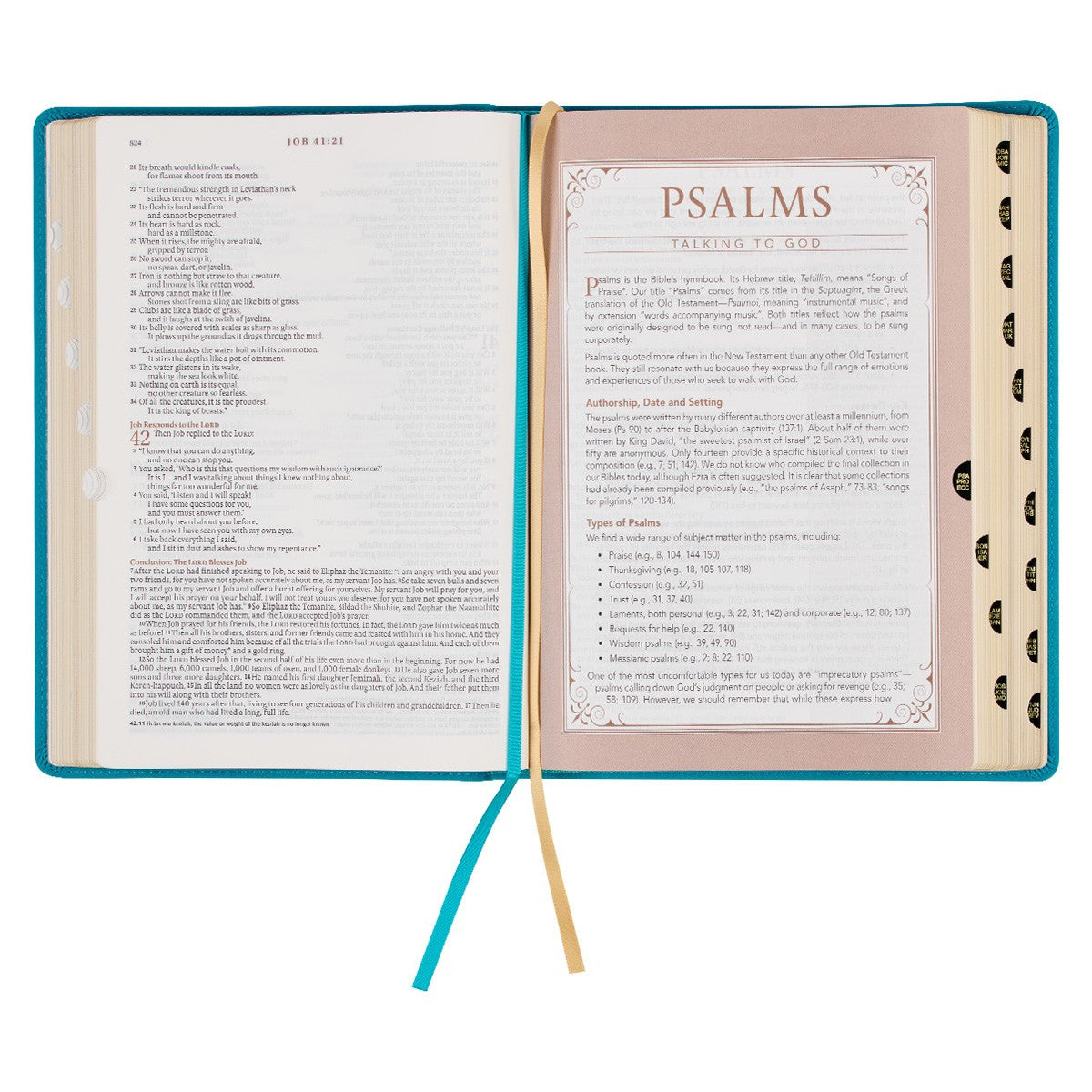 Teal Faux Leather Spiritual Growth Bible - The Christian Gift Company