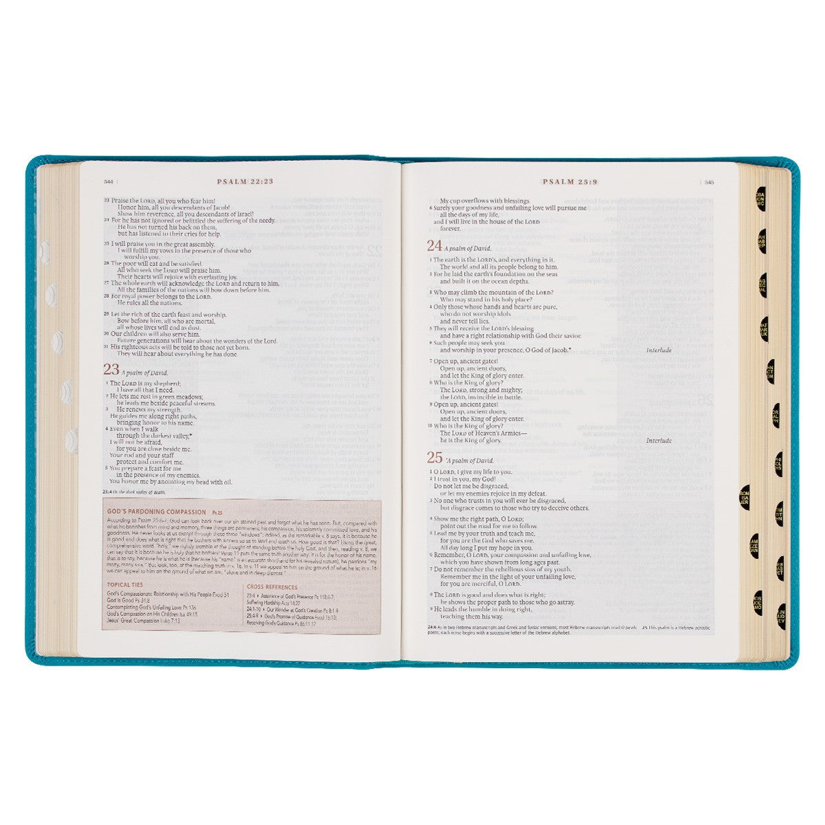 Teal Faux Leather Spiritual Growth Bible - The Christian Gift Company