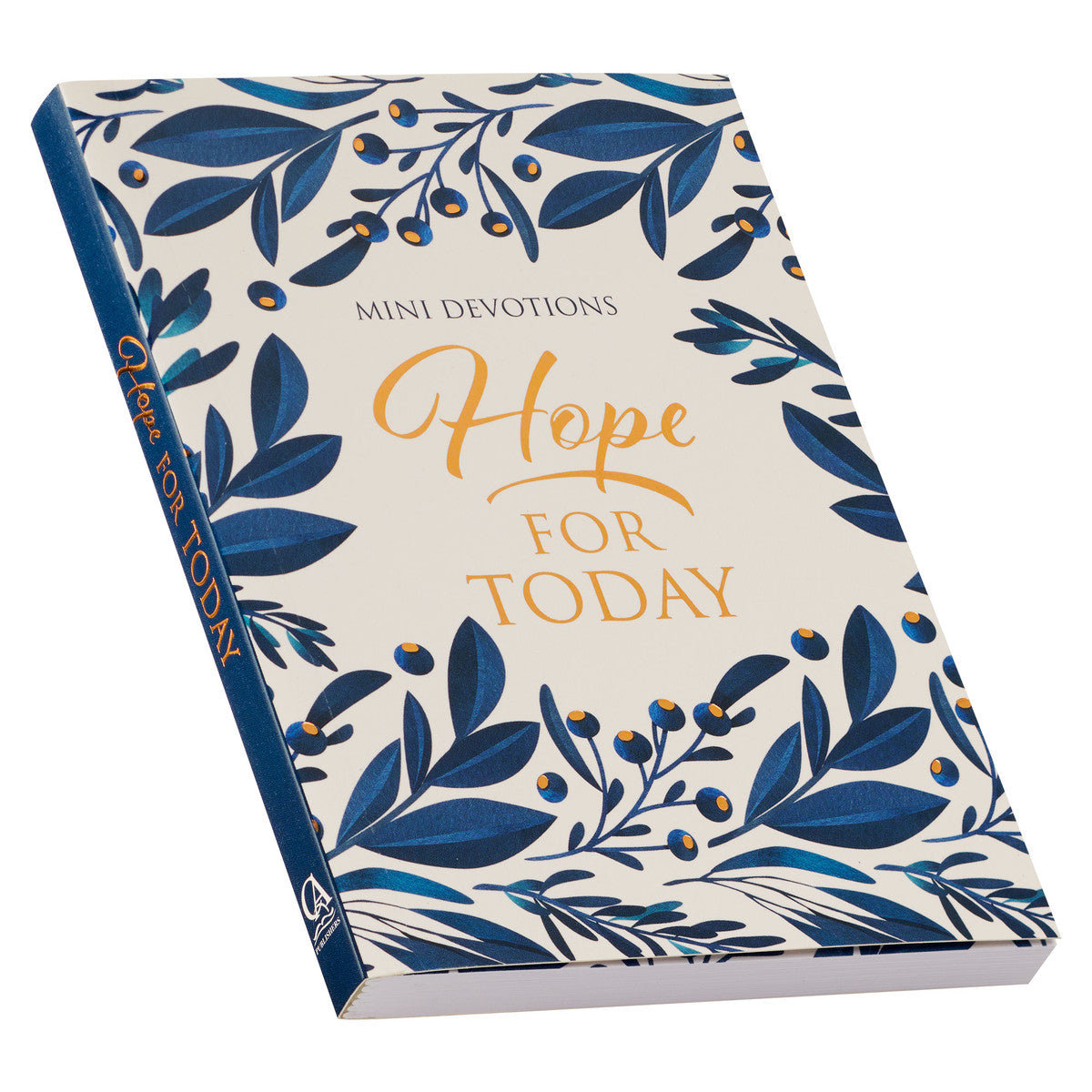 Hope for Today Mini Devotional - The Christian Gift Company