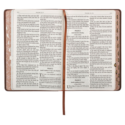 Lion Brown Faux Leather Kid's King James Version Bible