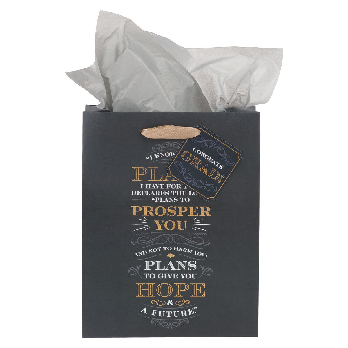 I Know the Plans Graduation Medium Gift Bag - Jeremiah 29:11