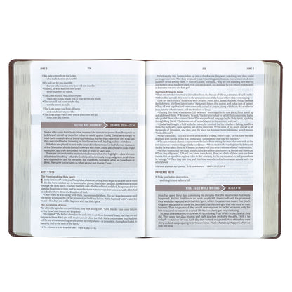 Chestnut Brown Faux Leather NLT Everyday Devotional Bible for Men