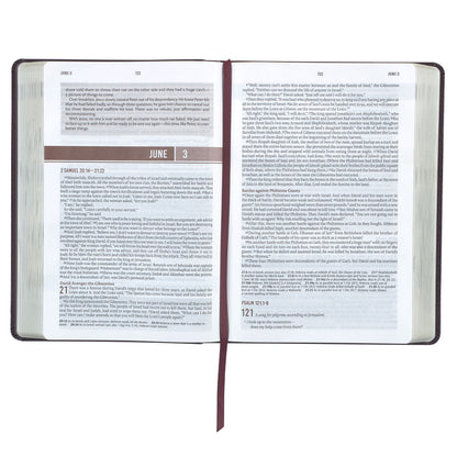 Cross Walnut Brown Faux Leather NLT Everyday Devotional Bible for Men