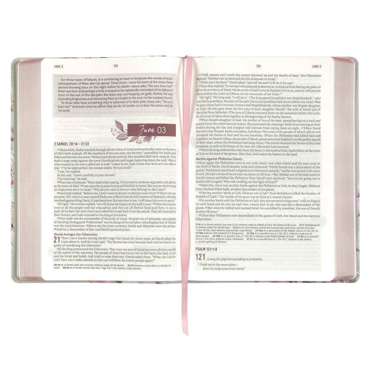 Pearlized Grey Floral Faux Leather NLT Everyday Devotional Bible for Women