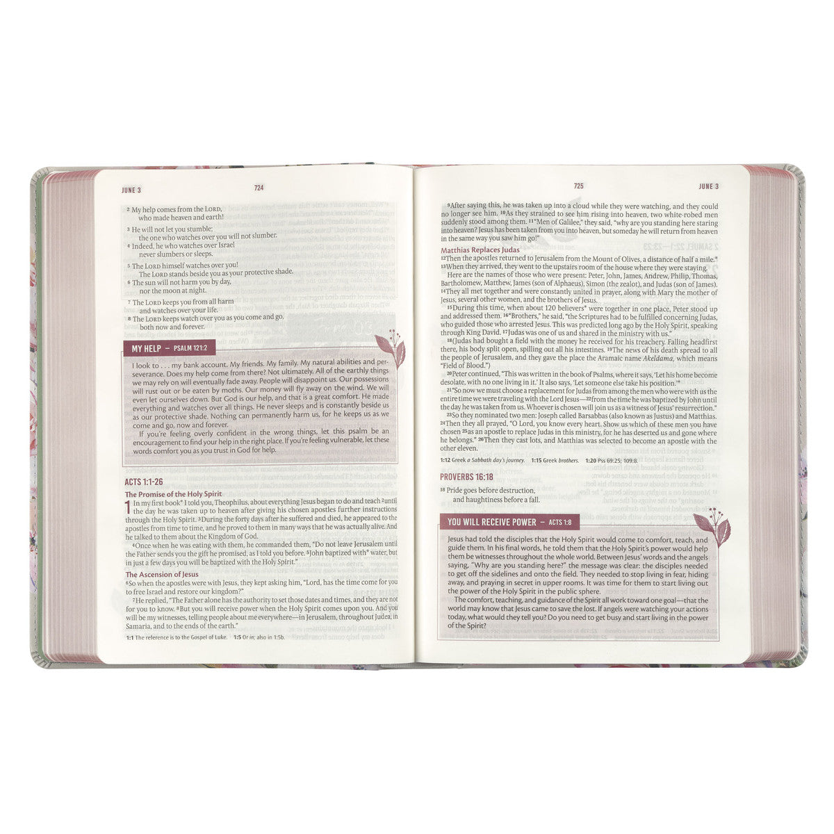 Pearlized Grey Floral Faux Leather NLT Everyday Devotional Bible for Women