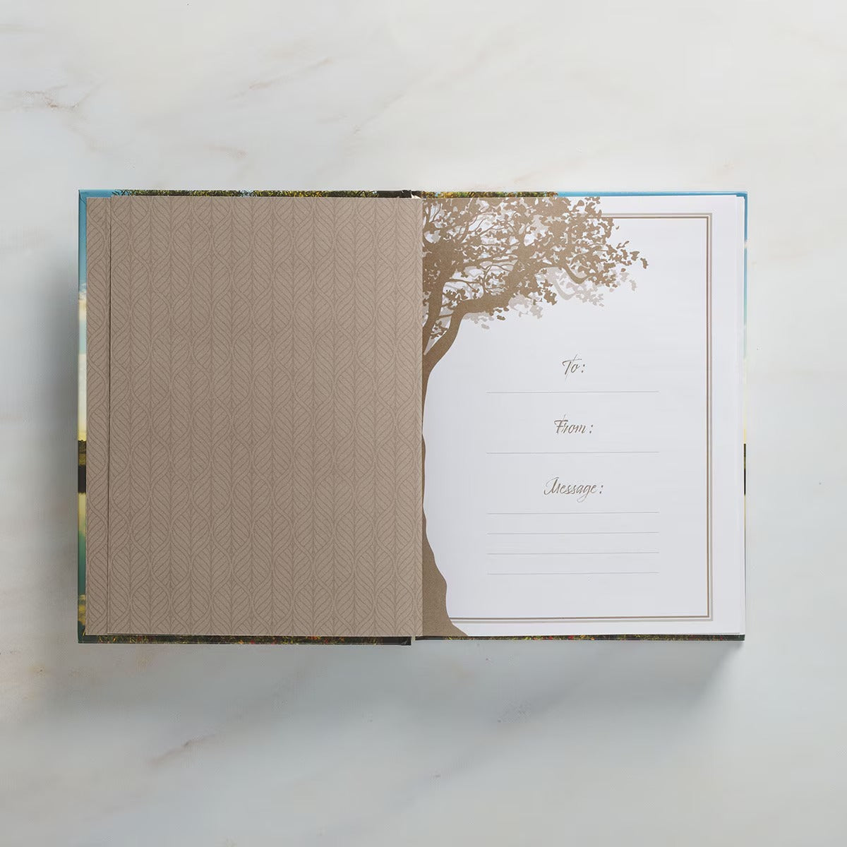 Rooted in Faith Hardcover Devotional - The Christian Gift Company