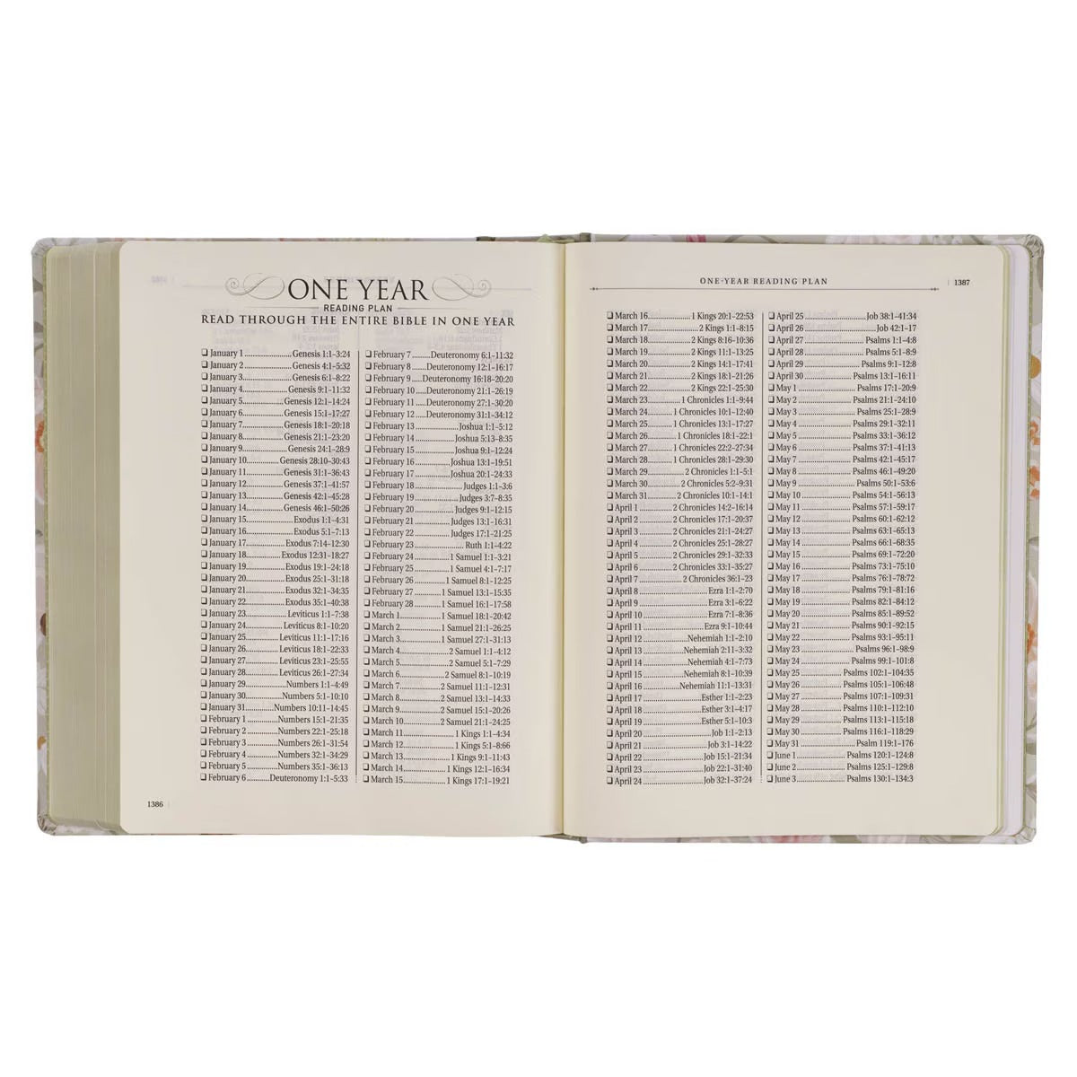 Sage Green Hardcover Large Print King James Version Note-taking Bible - Luke 22:42 - The Christian Gift Company