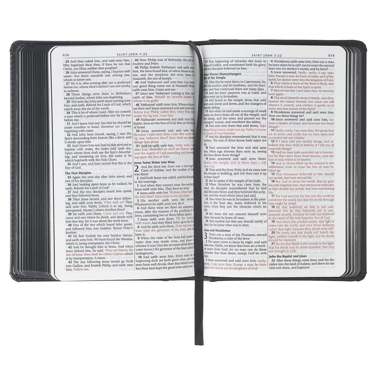 Black and Grey Lion Faux Leather Hardcover Compact King James Version Bible - The Christian Gift Company