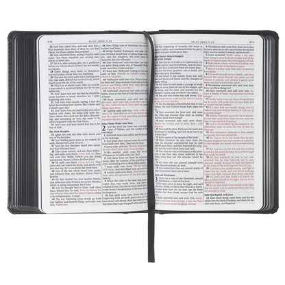 Black and Grey Lion Faux Leather Hardcover Compact King James Version Bible - The Christian Gift Company