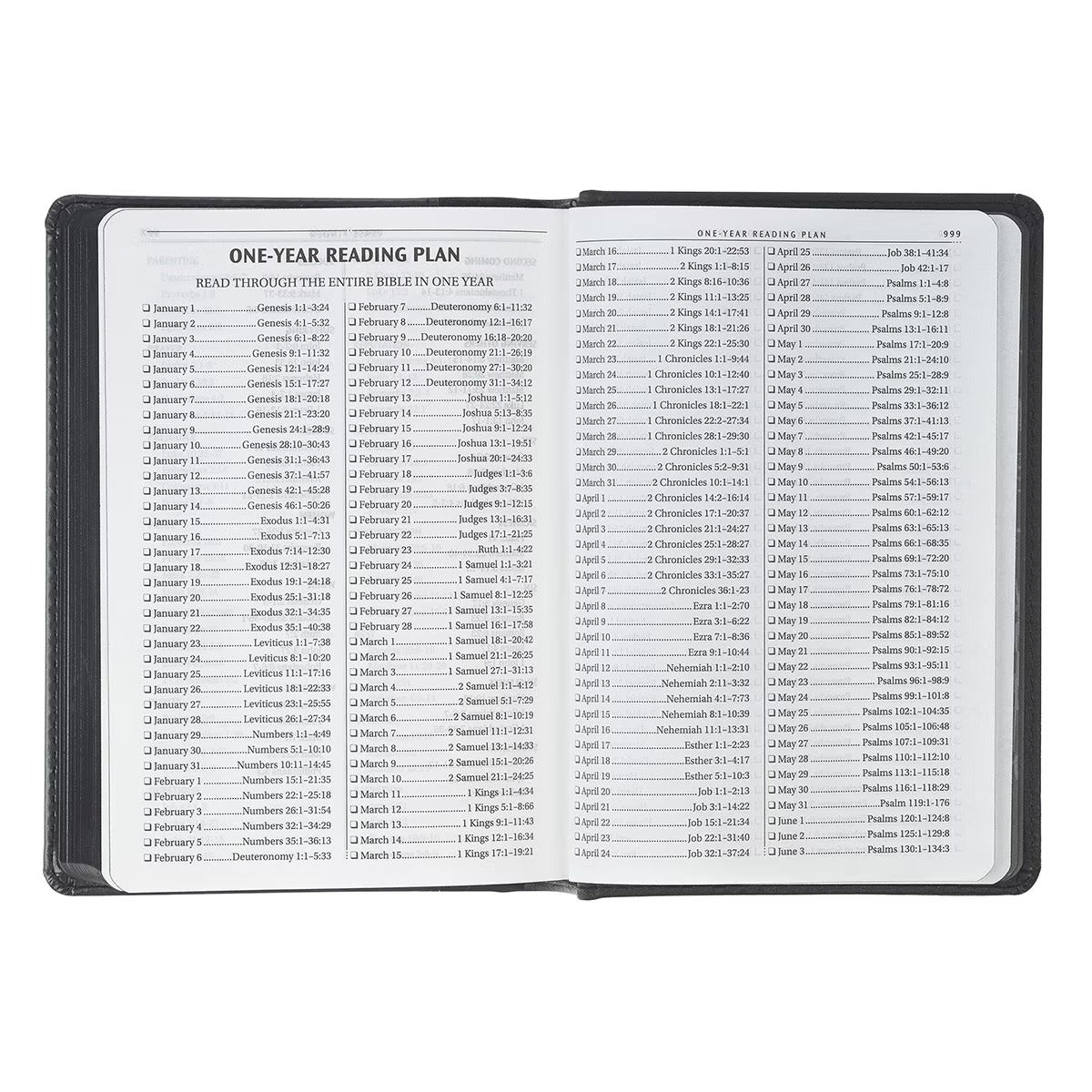 Black and Grey Lion Faux Leather Hardcover Compact King James Version Bible - The Christian Gift Company