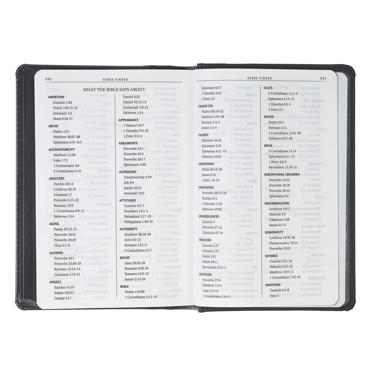 Black and Grey Lion Faux Leather Hardcover Compact King James Version Bible - The Christian Gift Company