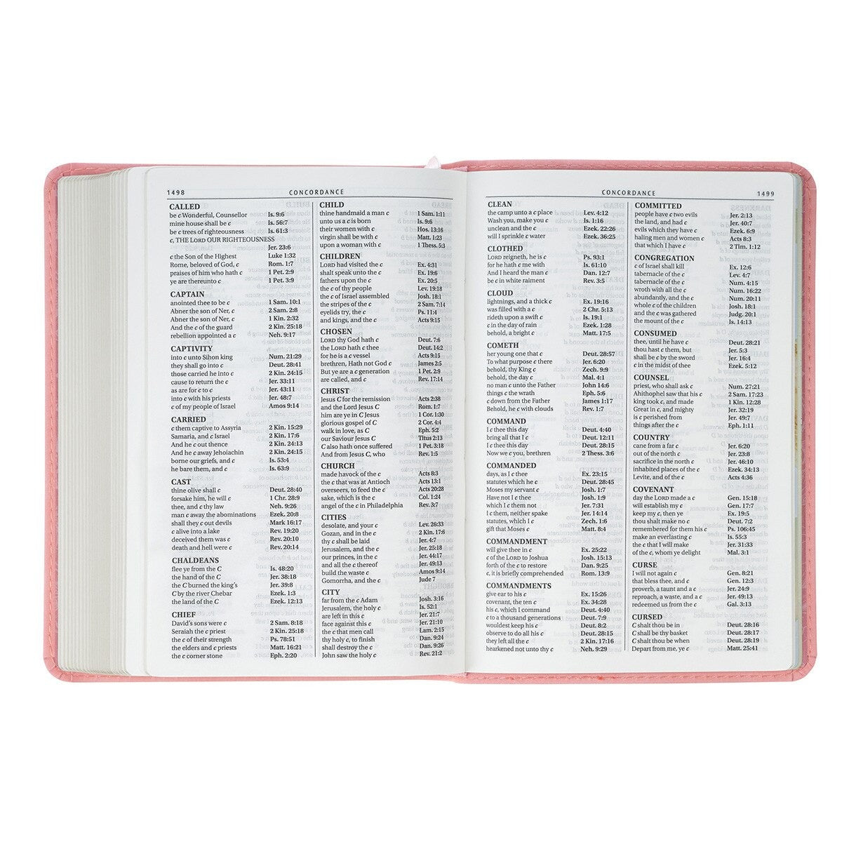 Coral Dawn Floral Large Print Compact King James Version Bible - The Christian Gift Company