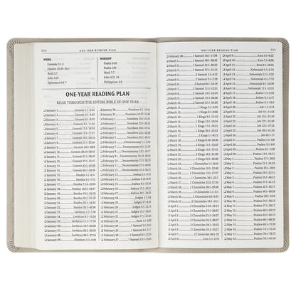 Taupe Floral Faux Leather King James Version Gift Edition Bible - The Christian Gift Company