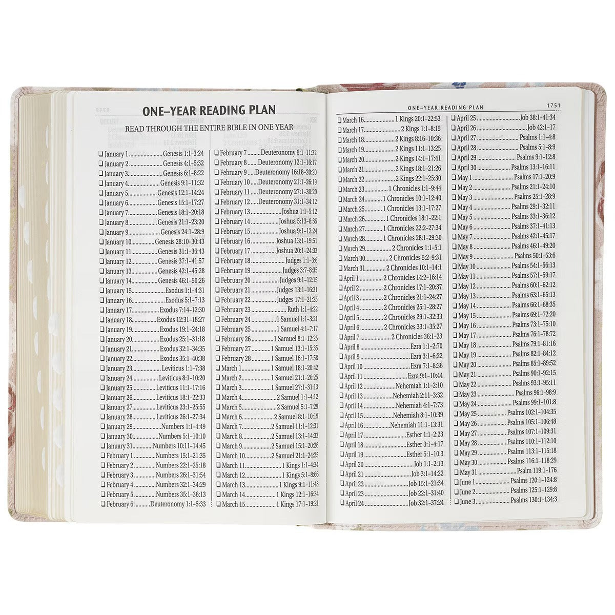 Pink Floral Faux Leather Giant Print Standard-Size King James Version Bible with Thumb Index - The Christian Gift Company
