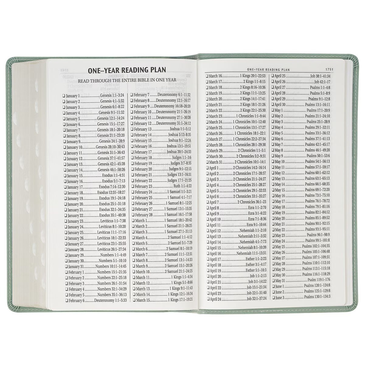 Teal Floral Faux Leather Giant Print Standard-size King James Version Bible with Thumb Index - The Christian Gift Company