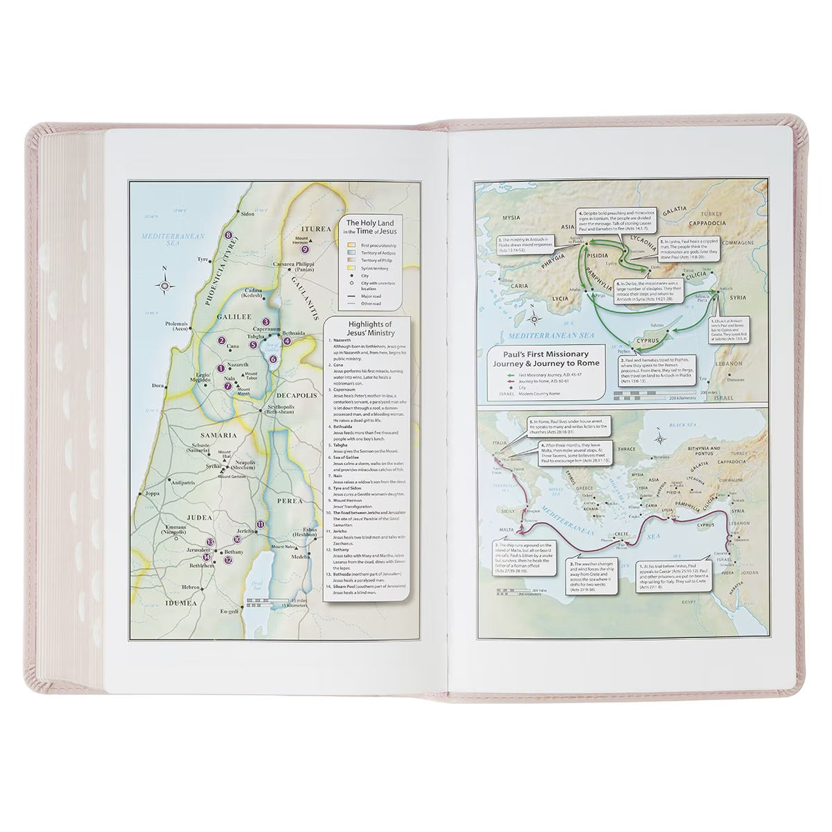 Blush Floral Faux Leather Standard-size Giant Print KJV Bible Thumb Index - The Christian Gift Company