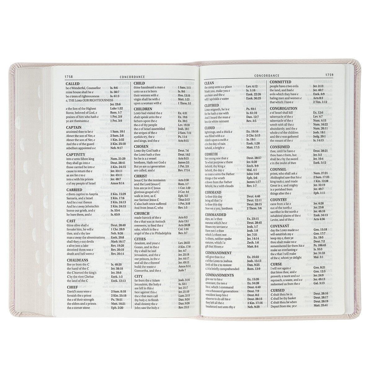 Blush Floral Faux Leather Standard-size Giant Print KJV Bible Thumb Index - The Christian Gift Company