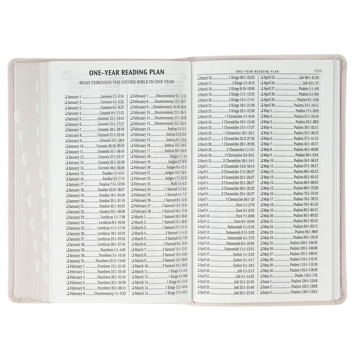 Blush Floral Faux Leather Standard-size Giant Print KJV Bible Thumb Index - The Christian Gift Company