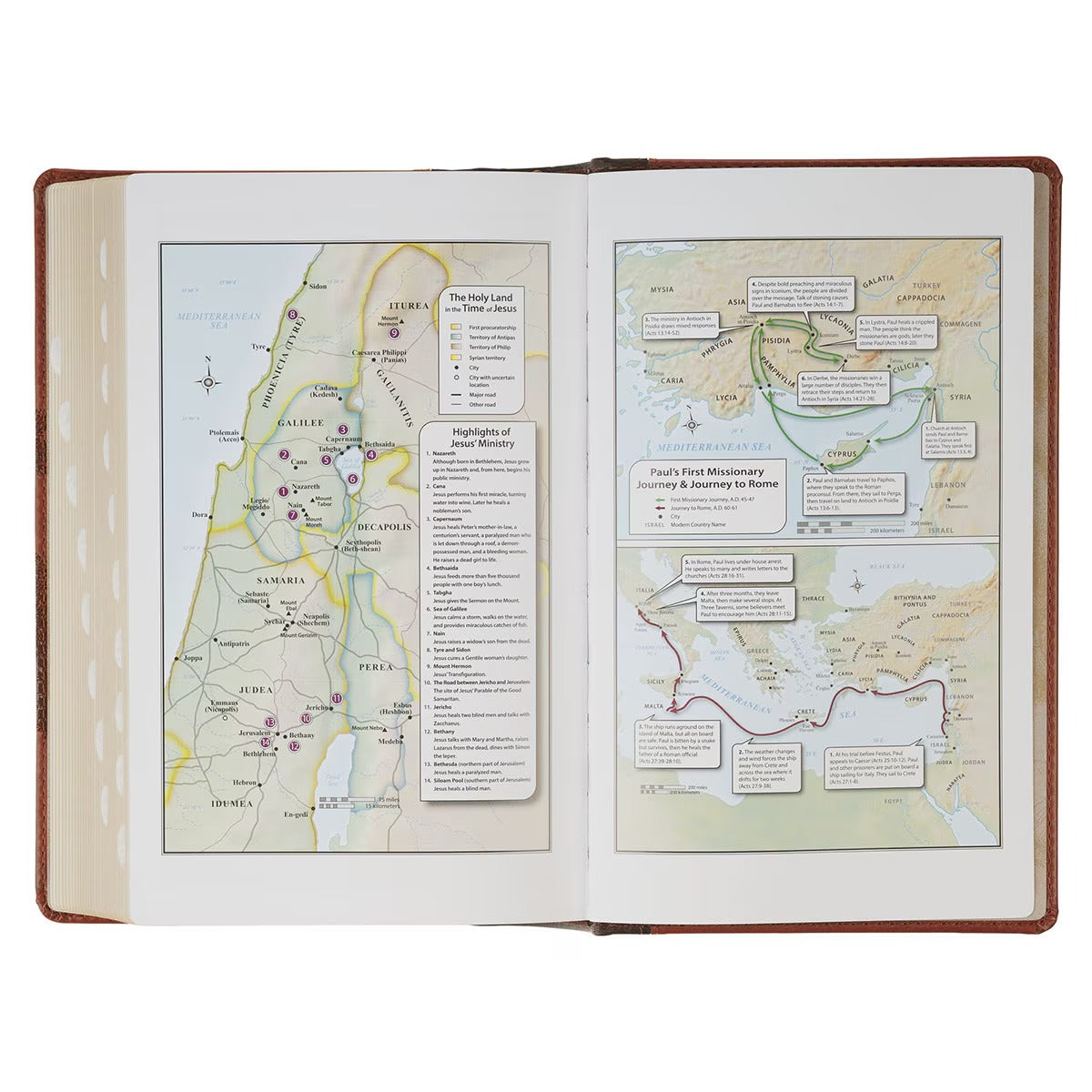 Rooted Brown Faux Leather Giant Print King James Version Bible with Thumb Index - The Christian Gift Company