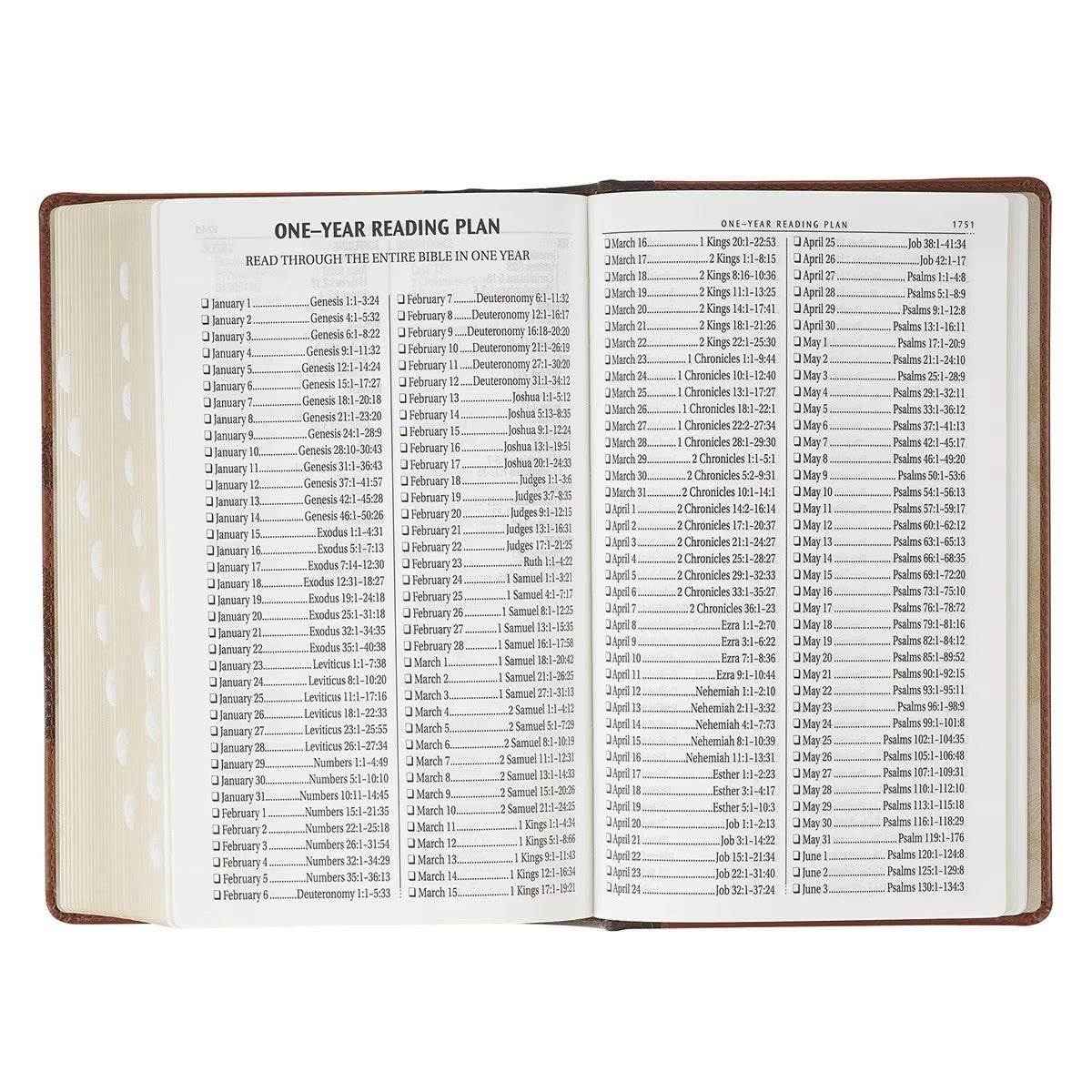 Rooted Brown Faux Leather Giant Print King James Version Bible with Thumb Index - The Christian Gift Company