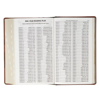 Rooted Brown Faux Leather Giant Print King James Version Bible with Thumb Index - The Christian Gift Company