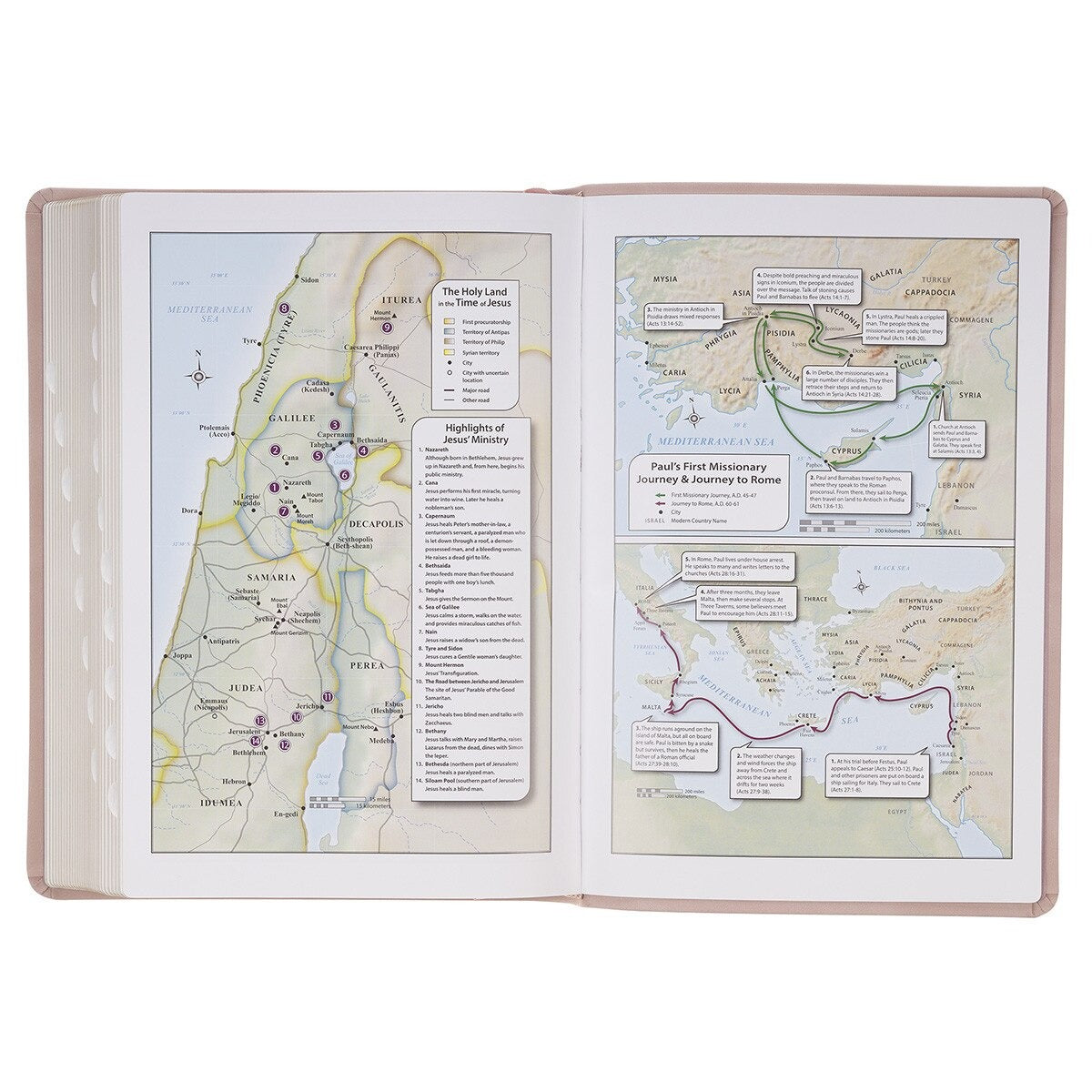 Blush Pink Floral Giant Print Full-size King James Version Bible with Thumb Index - The Christian Gift Company