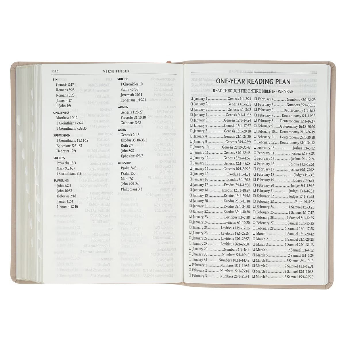 Blush Pink Floral Giant Print Full-size King James Version Bible with Thumb Index - The Christian Gift Company