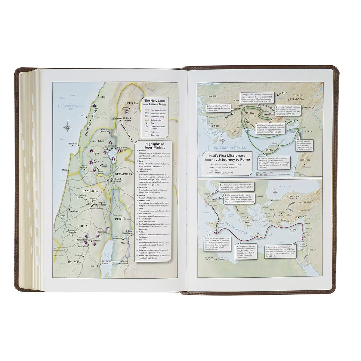 Brown Crown of Thorns Giant Print Full-size King James Version Bible with Thumb Index - The Christian Gift Company
