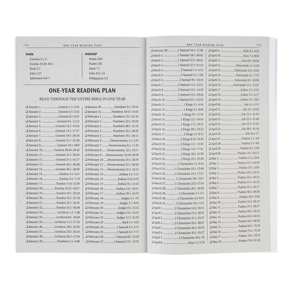 Daybreak Softcover King James Version Outreach Bible - The Christian Gift Company