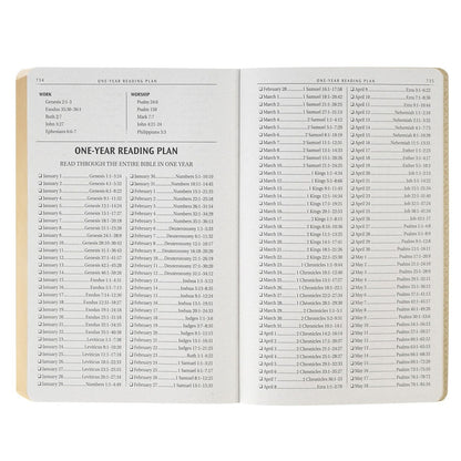 Chestnut Brown Faux Leather King James Version Gift Bible - The Christian Gift Company