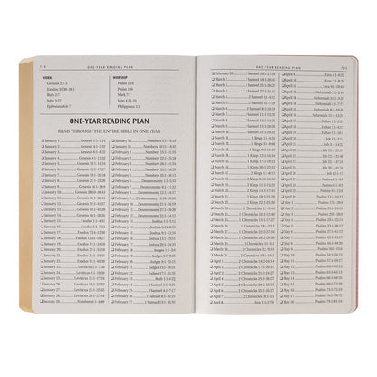 Marbled Coral Pink Faux Leather King James Version Gift Bible - The Christian Gift Company