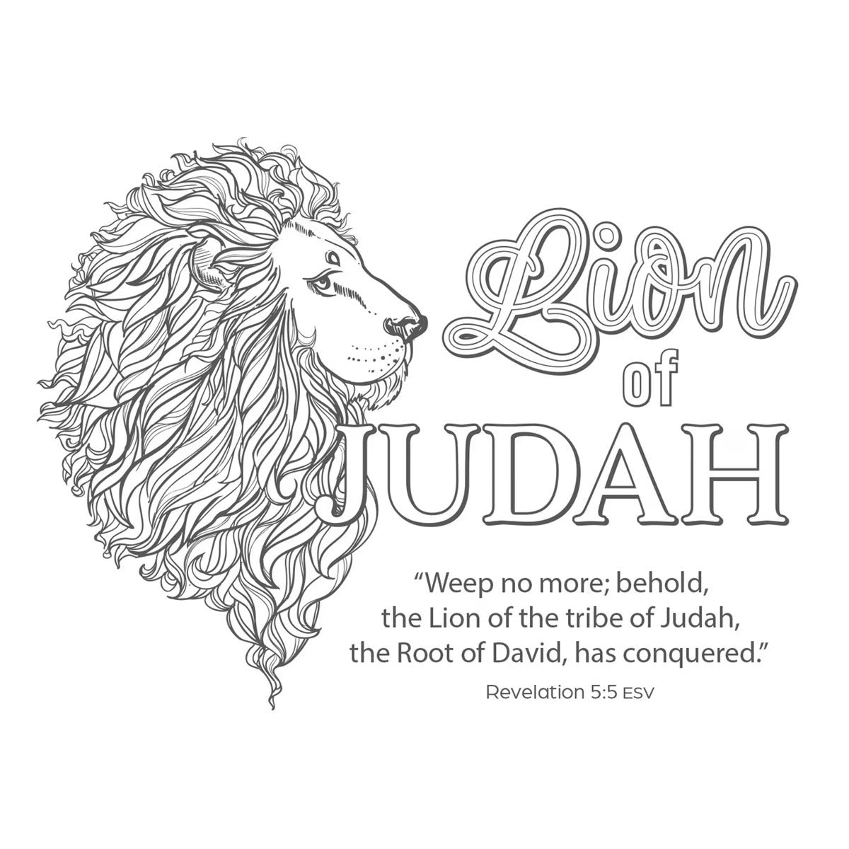 Coloring the Names of Jesus Boxed Cards