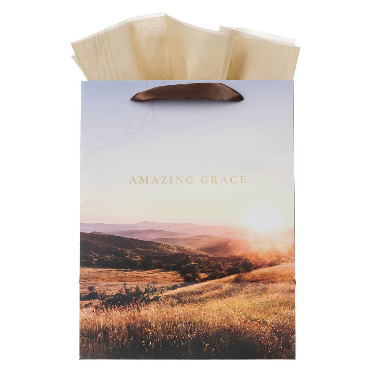 Amazing Grace Crown of Thorns Large Portrait Gift Bag - The Christian Gift Company