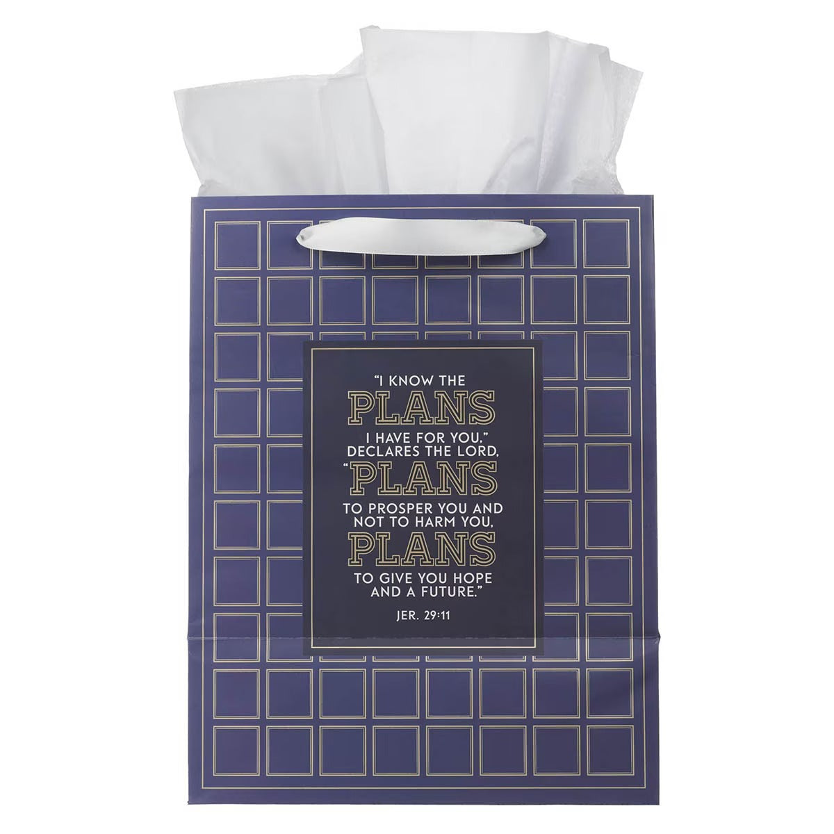 The Plans Modern Blue Grid Large Portrait Gift Bag - Jeremiah 29:11 - The Christian Gift Company