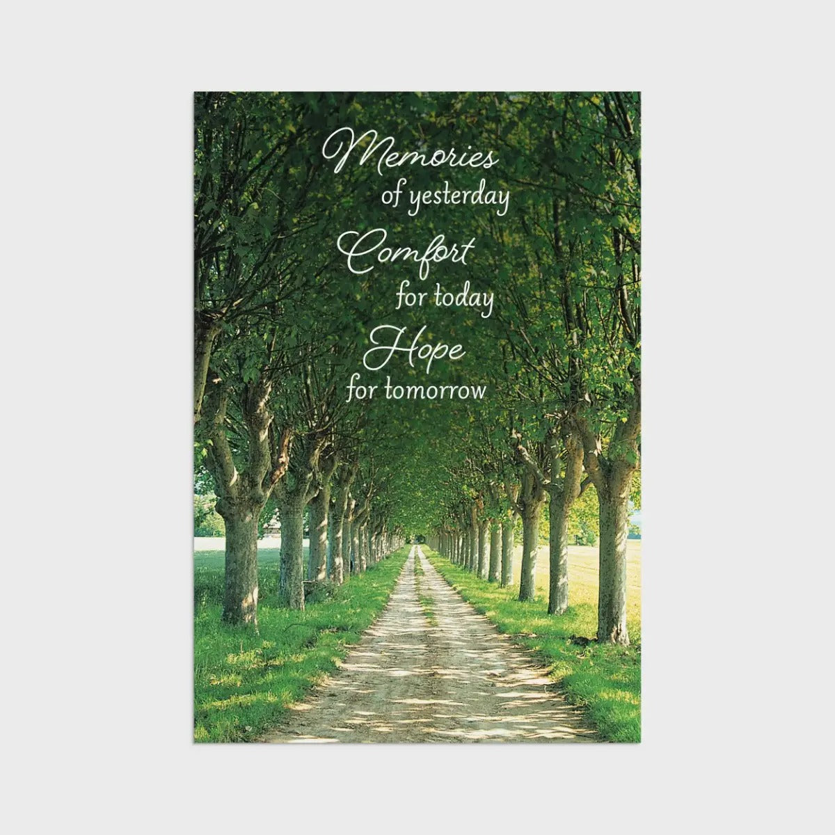 Sympathy - Fields of Comfort - 12 Count Boxed Cards and Envelopes, KJV - The Christian Gift Company