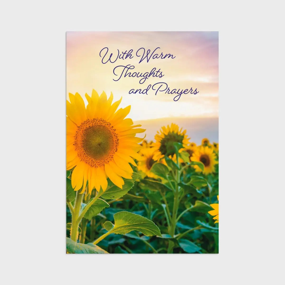 Sympathy - Fields of Comfort - 12 Count Boxed Cards and Envelopes, KJV - The Christian Gift Company