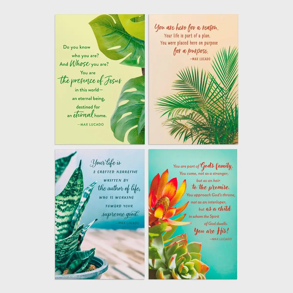 Max Lucado - Birthday - Botanical Art - 12 Boxed Cards and Envelopes - The Christian Gift Company