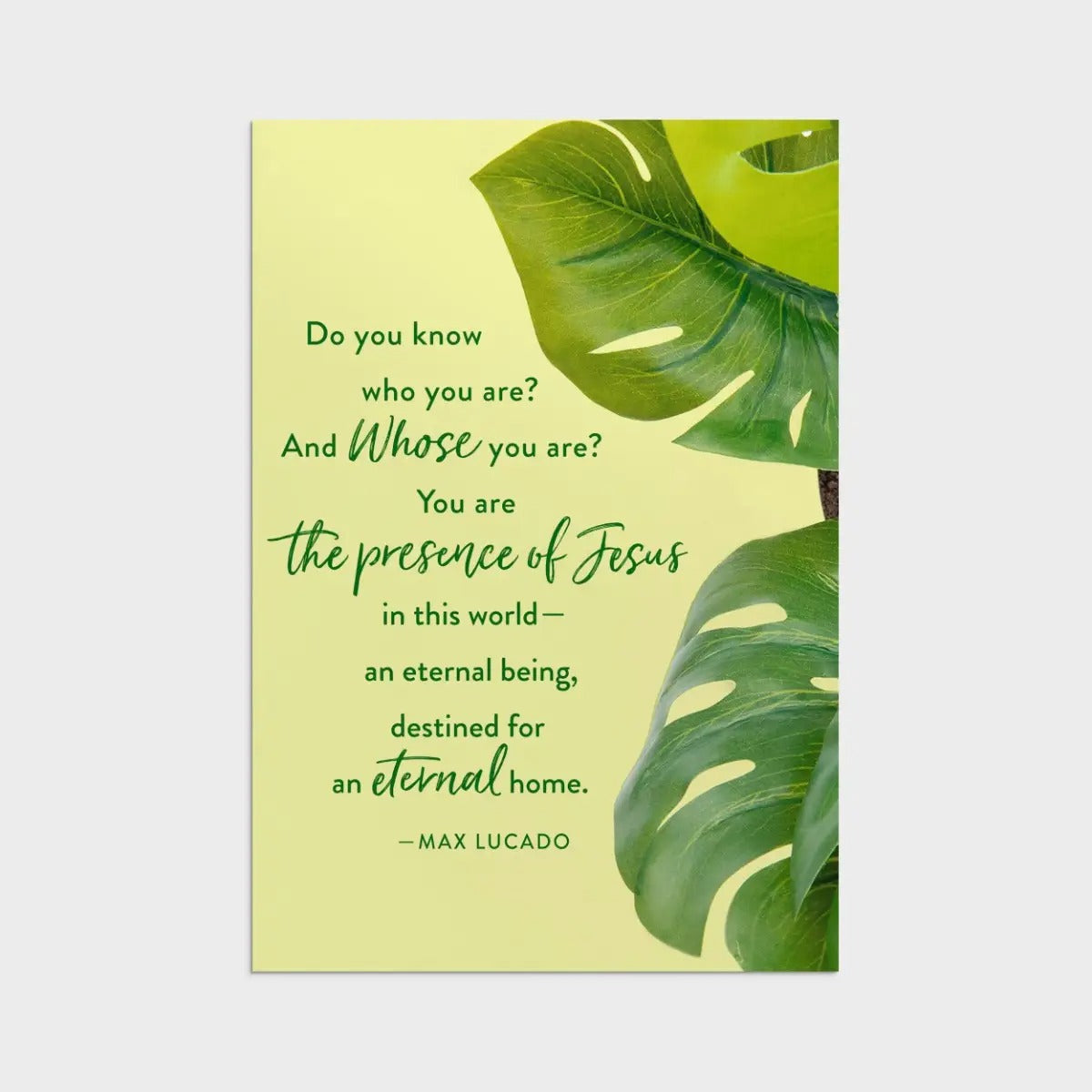 Max Lucado - Birthday - Botanical Art - 12 Boxed Cards and Envelopes - The Christian Gift Company
