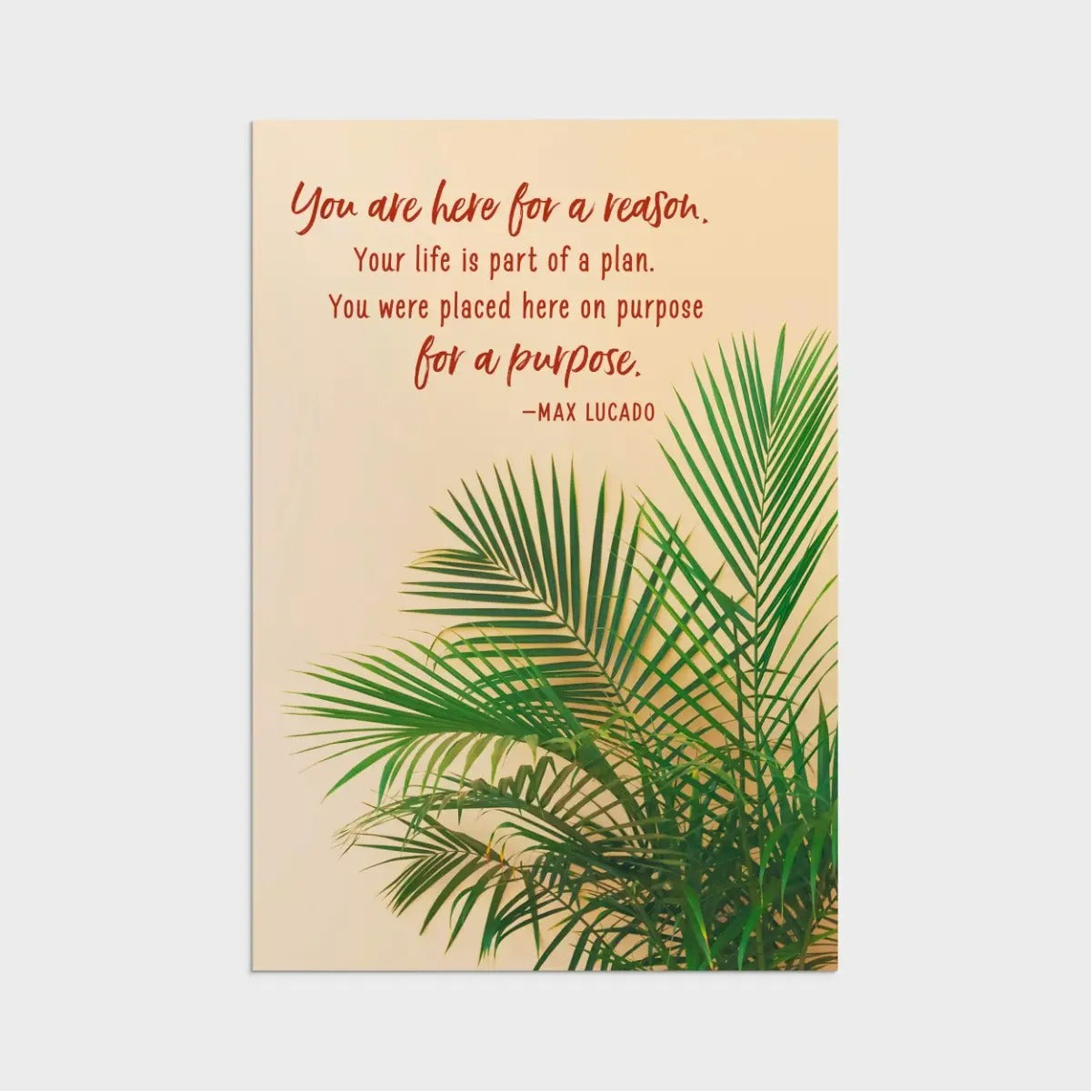 Max Lucado - Birthday - Botanical Art - 12 Boxed Cards and Envelopes - The Christian Gift Company