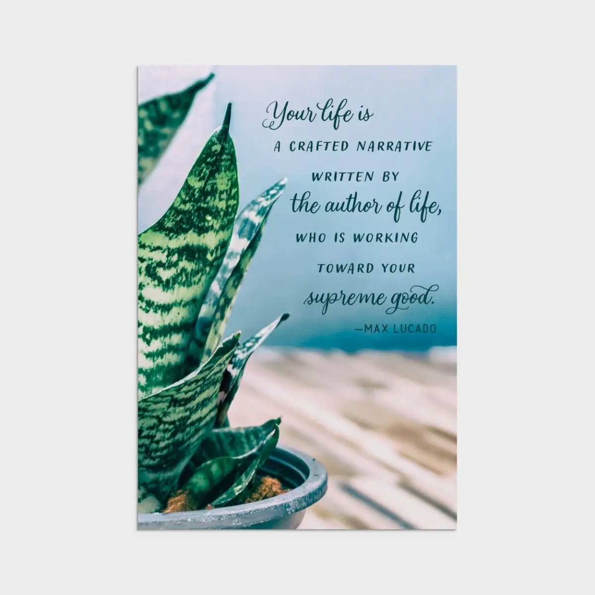 Max Lucado - Birthday - Botanical Art - 12 Boxed Cards and Envelopes - The Christian Gift Company