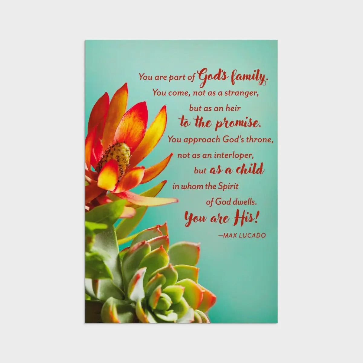 Max Lucado - Birthday - Botanical Art - 12 Boxed Cards and Envelopes - The Christian Gift Company