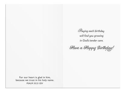 Marjolein Bastin - Birthday - 12 Boxed Cards and Envelopes