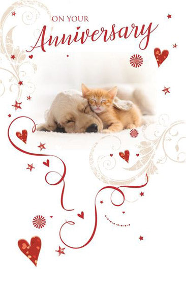 Anniversary Card - Puppy & Kitten - The Christian Gift Company