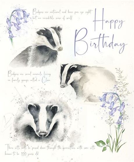 Birthday Card - Badgers & Bluebells - The Christian Gift Company