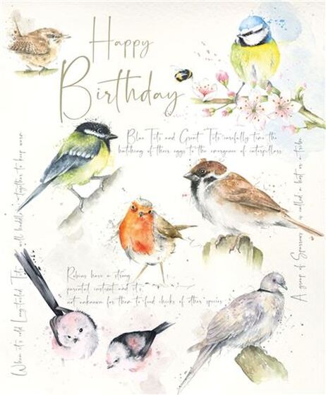 Birthday Card - Songbirds - The Christian Gift Company