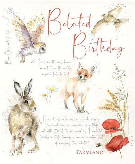 Belated Birthday Card - Wildlife Notebook - The Christian Gift Company