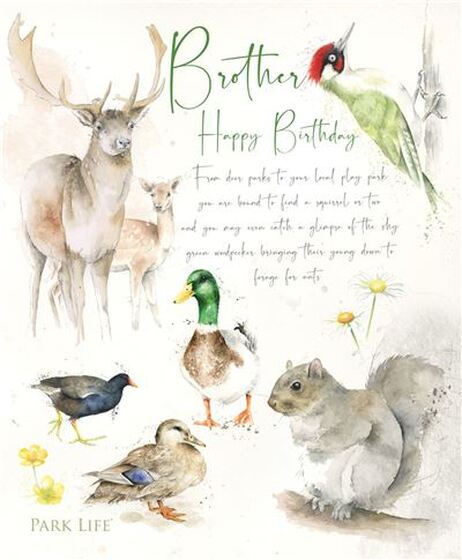 Brother Card - Wildlife Notebook - The Christian Gift Company