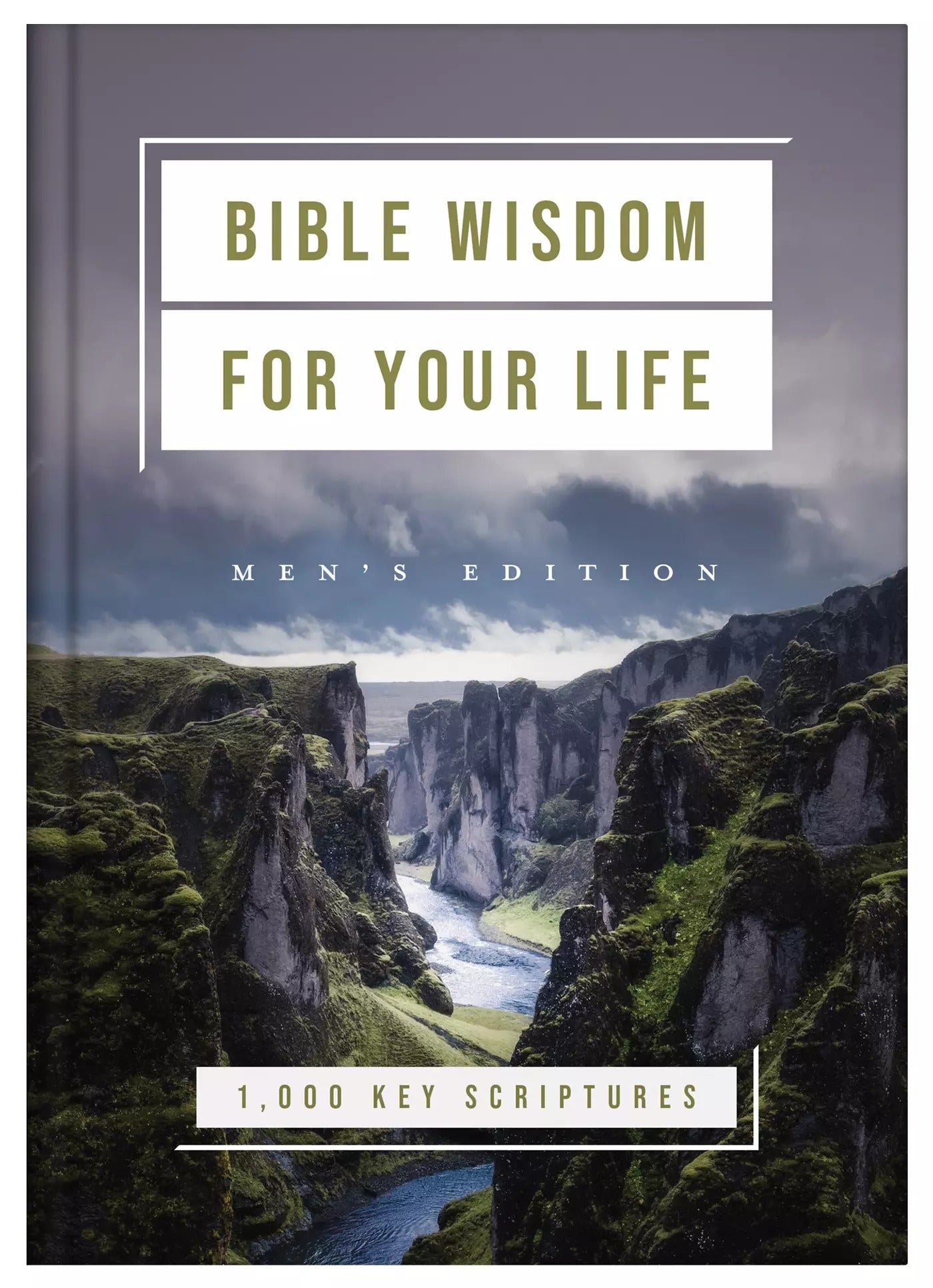 Bible Wisdom for Your Life: Men's Edition - The Christian Gift Company