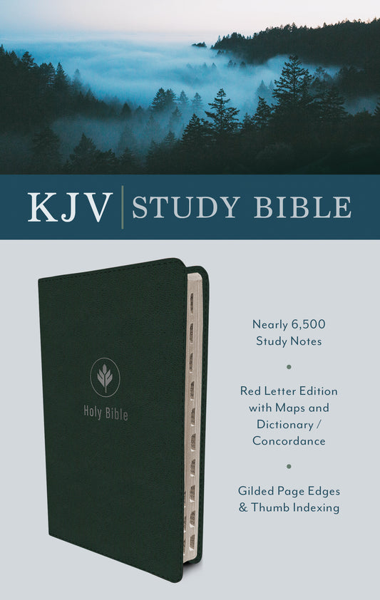 The KJV Study Bible (Indexed) [Evergreen Fog] - The Christian Gift Company