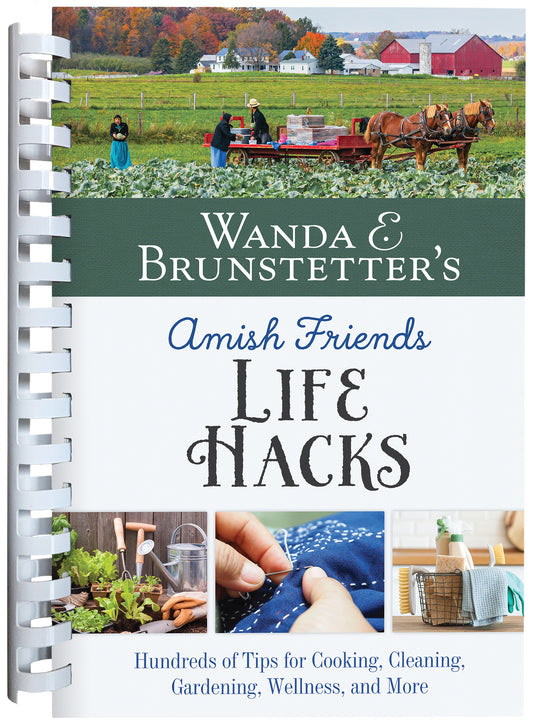 Wanda E. Brunstetter's Amish Friends Life Hacks - The Christian Gift Company